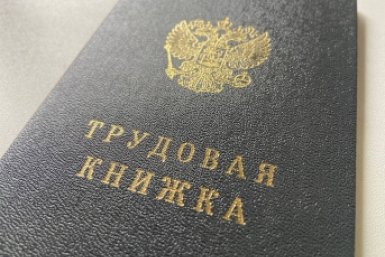 Трудовая книжка ИА StolicaMedia