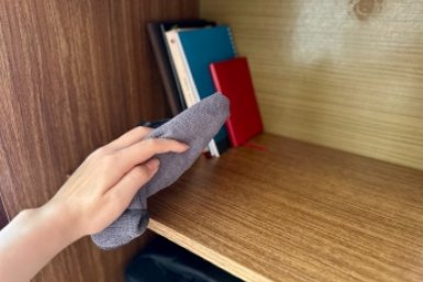 Протираю так 1 раз - целый месяц не вспоминаю о пыли: уборка по старинному рецепту ИА StolicaMedia