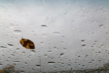 Погода Анета  Абрамченко, ИА ChitaMedia