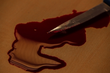 Убийство Юлия Ушакова, ИА IrkutskMedia