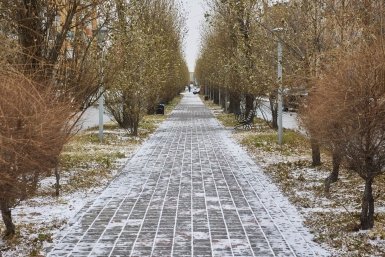 Снег Дмитрий Осипчук, ИА PrimaMedia