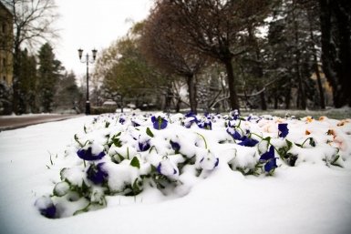 Снегопад в Москве Артём Хорошилов  , ИА Stavropol.Media