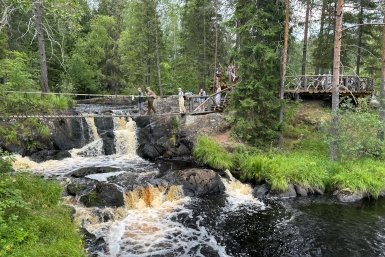 Лес Александр Шепырев, ИА UssurMedia