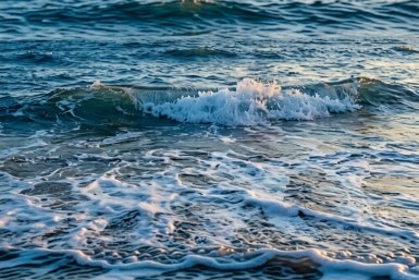 море сгенерировано нейросетью