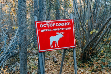 Лоси Мария Смитюк, ИА PrimaMedia
