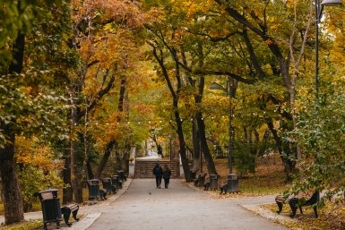 парк Яна Гайдук, ИА PrimaMedia.ru