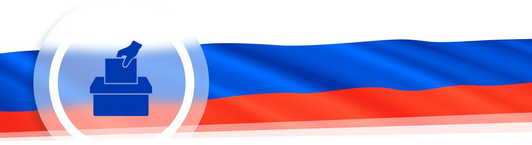 Выборный год